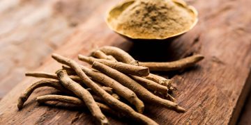 9 گیاه شگفت انگیز که باعث افزایش حافظه میشوند