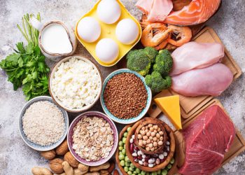 تمام گزینه های غذای پرکالری که ضامن سلامتی هستند