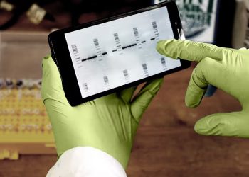 ژن‌های طولانی‌تر با پیری ارتباط دارند: این به چه معناست