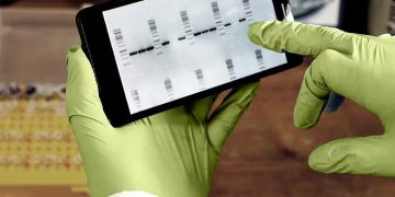 ژن‌های طولانی‌تر با پیری ارتباط دارند: این به چه معناست