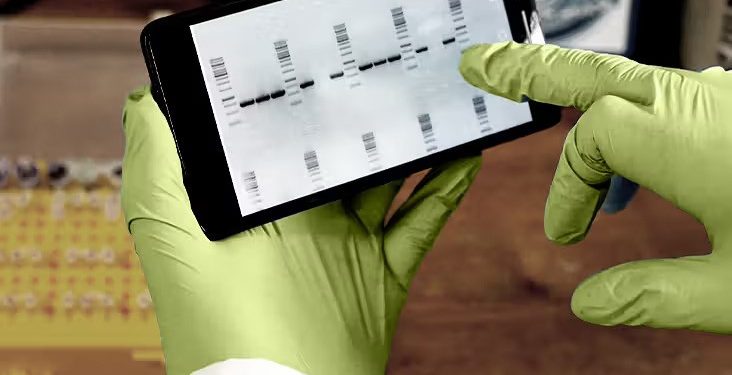 ژن‌های طولانی‌تر با پیری ارتباط دارند: این به چه معناست