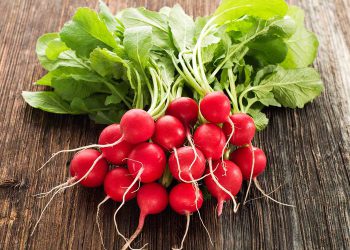 تربچه در لیست محبوب ترین مواد غذایی