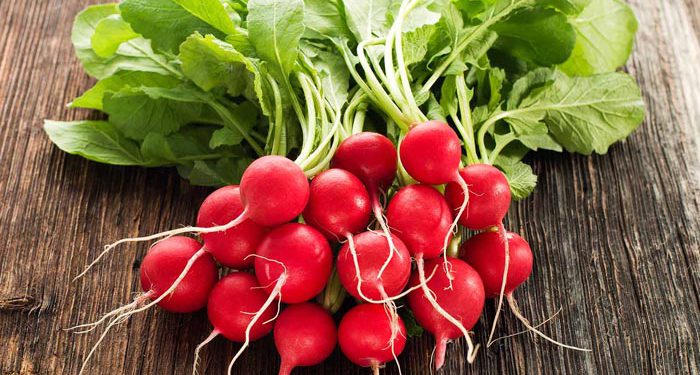 تربچه در لیست محبوب ترین مواد غذایی