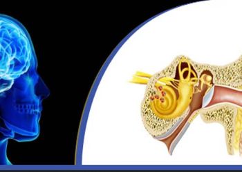 نورواتولوژی  چیست ؟