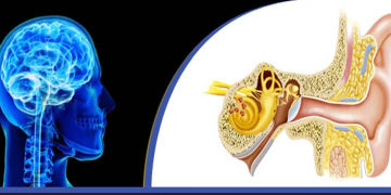 نورواتولوژی  چیست ؟